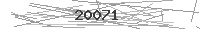 Verification Image